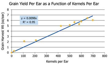 Grain yield per ear as a function of kernels per ear.