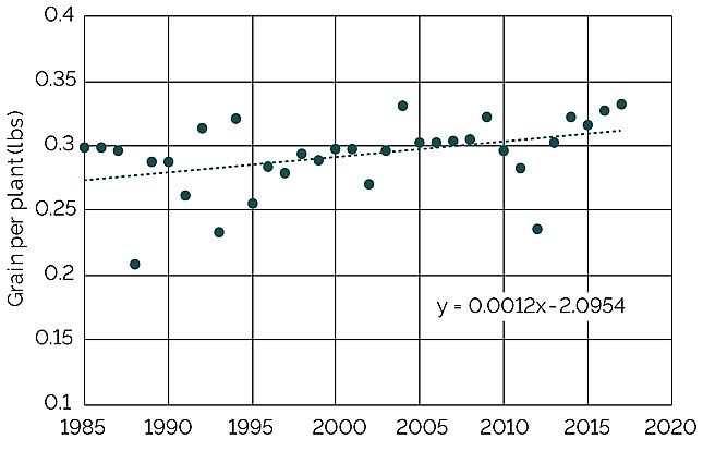 Chart showing average grain yield per plant in the U.S. from 1985 to 2017.