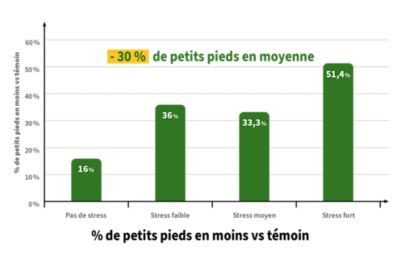 UNE DIMINUTION DU NOMBRE DE PETITS PIEDS 