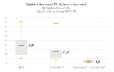 résultat essai launcher et lumisena sur mildiou tournesol