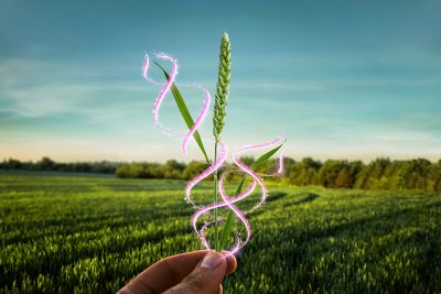 Inatreq_Header_Mobil