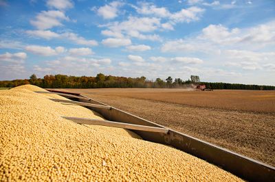 Benefícios das Sementes Certificadas