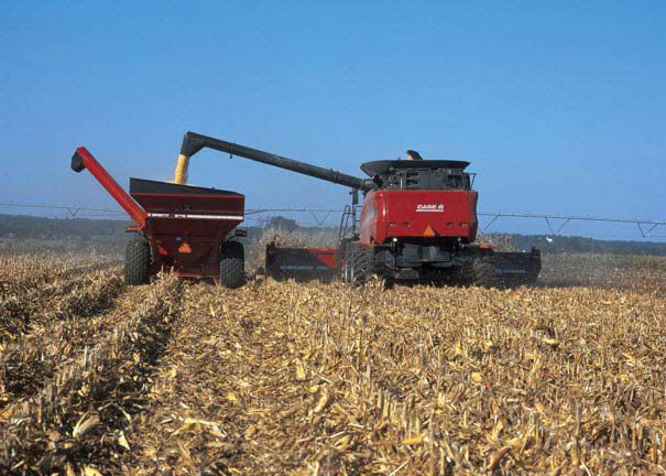 Photo showing a harvesting operation in corn.