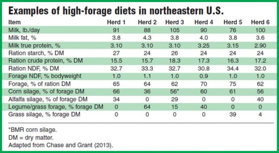 Examples of high-forage dairy livestock diets in northeastern U.S.