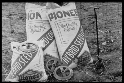 Pioneer-historical-photos