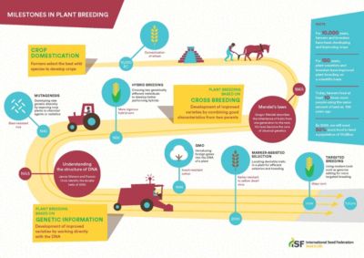History of Breeding Infographic