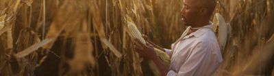 Farmer in field planting crop