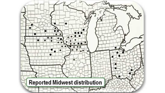 Reported Midwest distribution of hop vine borer.