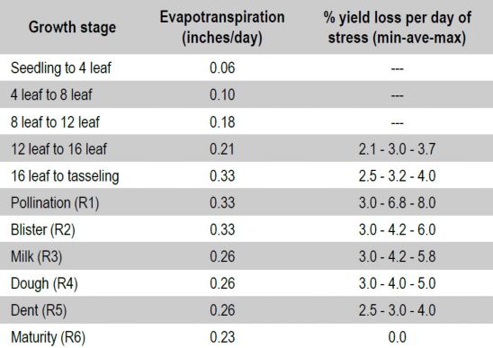 Estimated corn evapotranspiration and yield loss per stress day during various stages of growth