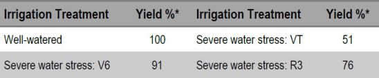 Effect of Irigation Treatment on Water-Stressed Corn Yield