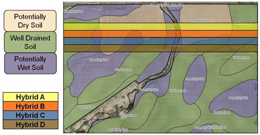 Hybrid strip trial layout in which the trial runs across multiple management zones assigned based on soil moisture characteristics.