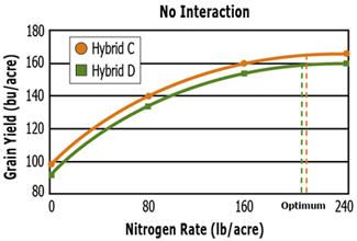 Response of two hypothetical corn hybrids across a range of N application rates. No difference in the optimum N rate for the two hybrids.