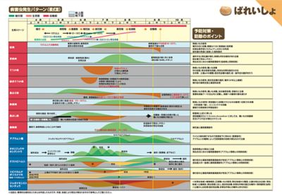 馬鈴薯テーブル