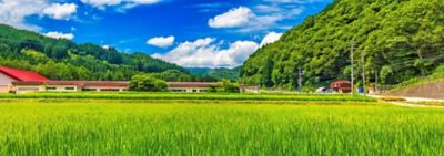 有機農業サポート 有機農業サポート
