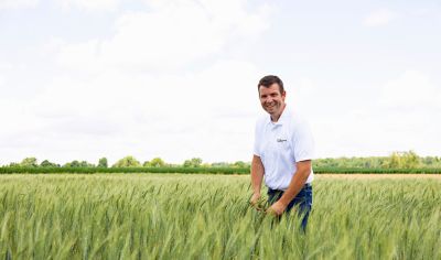 stuggling cob of corn