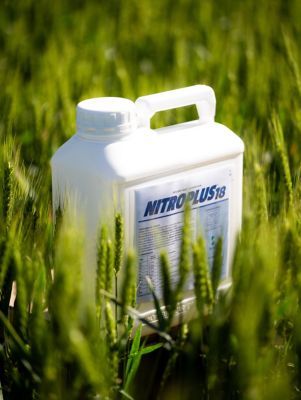 Por Ing. Agr. Paula Di Gerónimo. Market Developer Coordinator Pampa Húmeda y Uruguay, Stoller. El trigo es el cultivo de invierno más importante en los sistemas de producción de la región pampeana y el manejo adecuado de la nutrición es un pilar bási