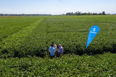 Por: Ing. Agr. Matías Retamal, Gerente Desarrollo &amp; Mercadeo de Stoller Argentina y Uruguay. Para la campaña de soja que se avecina, desde Stoller proponemos un programa (...)