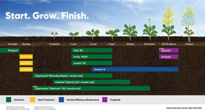 Cereal portfolio graphic 