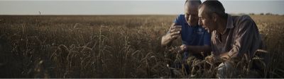Farmers in cereal field 