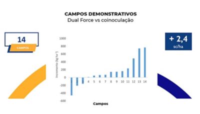 imagem grafico