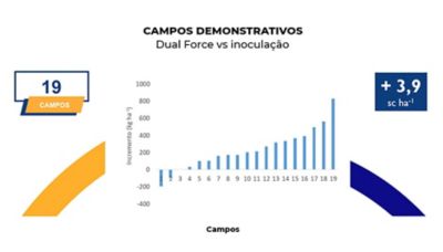 imagem grafico