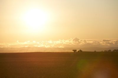 Sunset on field 