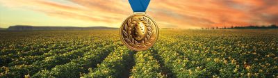 gold medal potatos 