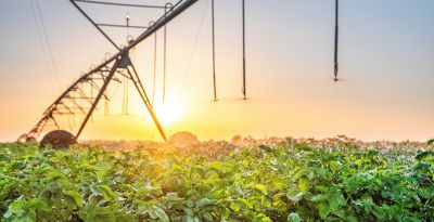 sprayer in potato field
