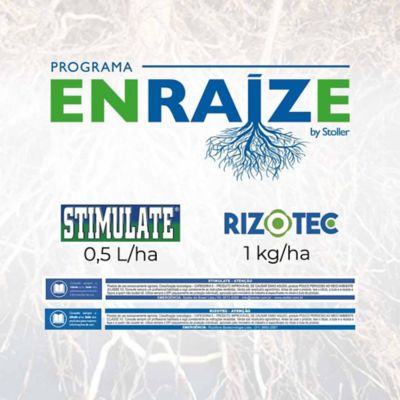 Enraize