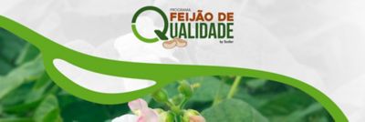 milho 360
