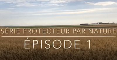 Découvrez l’essai en vidéo