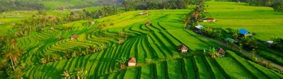 Farmer in field facing horizon