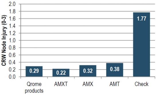 Average CRW node injury by insect protection.