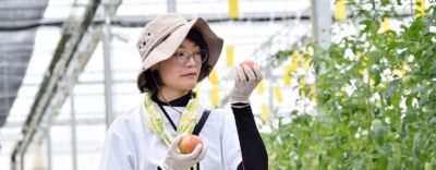 トマト　スマート　トランスフォーム　殺虫