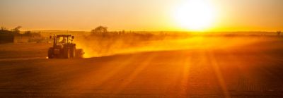 Diversity Statement - CEO