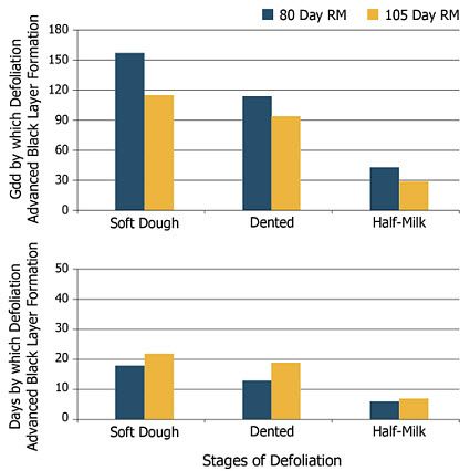 Number of Growing Degree Days and calendar days by which defoliation advanced corn black layer formation.