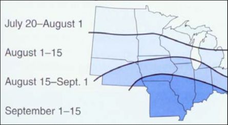 Map: First killing frost dates - Midwest