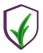 Pinagbubuti ang paggamit ng Nitrogen