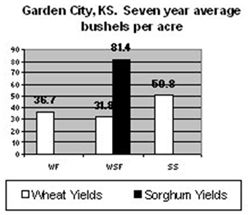Comparison wheat/sorghum yields - Garden City, KS