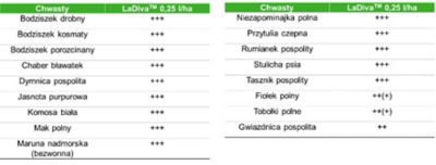 Skuteczność ochrony przed chwastami - tabelka