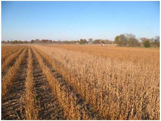 Timely soybean harvest is critical, as repeated wet and dry cycles prior to harvest can significantly impact seed quality.