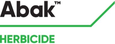 Brand_Logo