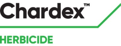 Brand_Logo