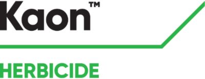 Brand_Logo