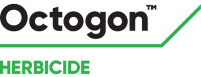 Brand_Logo