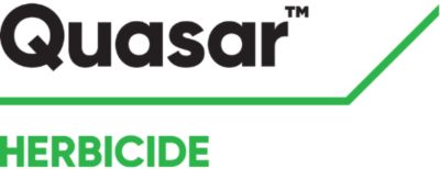 Brand_Logo