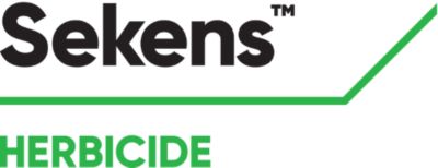 Brand_Logo