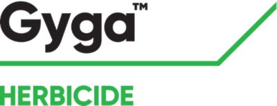 Gyga™ logo