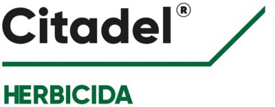 Citadel Logo PT