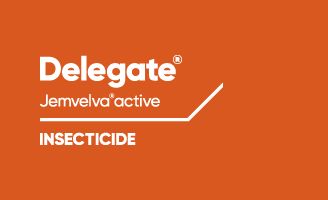 Delegate Jemvelva active Insecticide